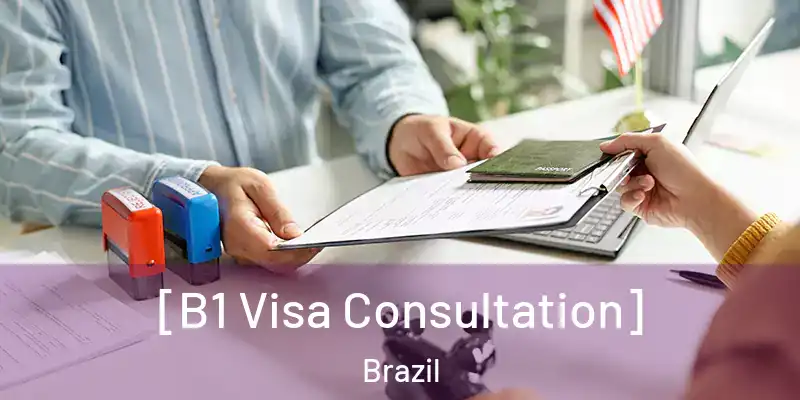  [B1 Visa Consultation] Brazil